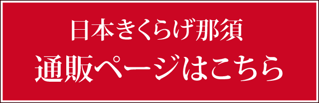 送料無料、返却送料無料!テラ温熱ベッドの2週間無料お試しはこちら!