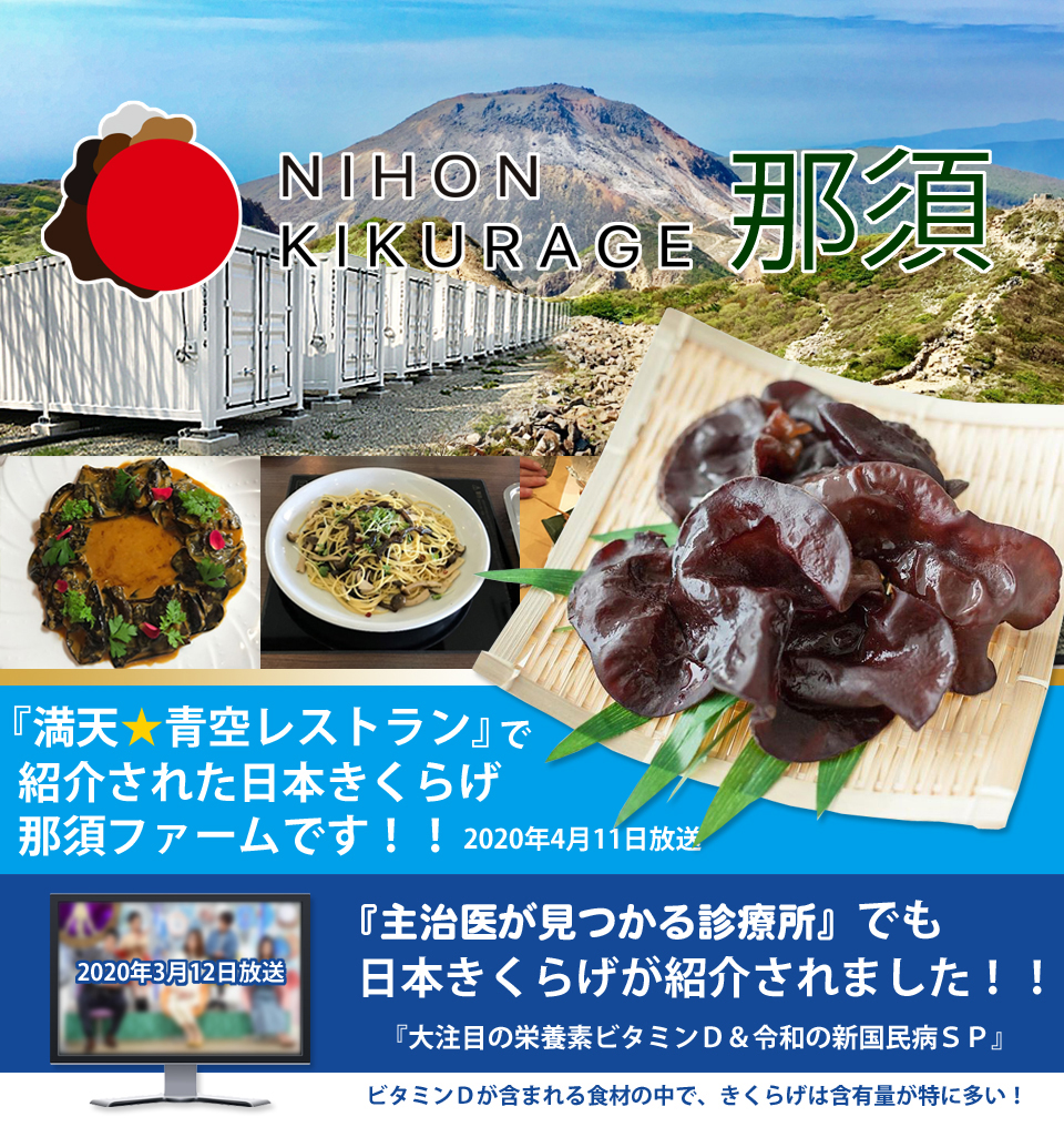 日本きくらげ那須は『満点☆青空レストラン』で紹介された日本きくらげ那須ファームです！！『主治医が見つかる診療所』でも日本きくらげが紹介されました！！『大注目の栄養素ビタミンD＆令和の新国民病SP』ビタミンDが含まれる食材の中で、きくらげは含有量が特に多い！